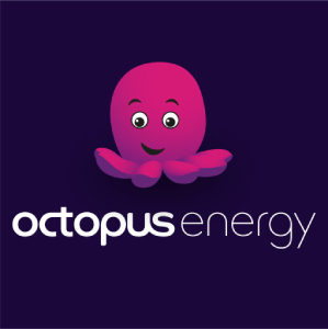 Octopus Agile Battery & Solar Calculator